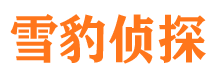 武冈市婚外情调查